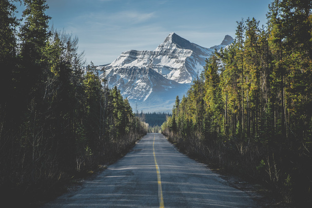 Road mountain scenery on way to Jasper Canada - Foto, Imagen