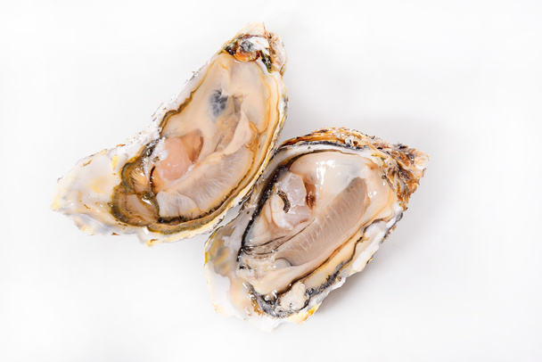 Fresh oyster up view - Fotó, kép