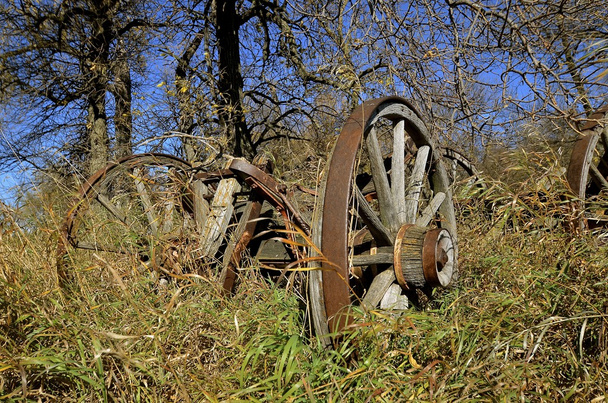 Oude houten wagon en wielen - Foto, afbeelding