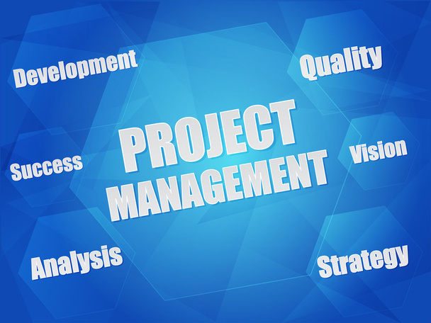 projekt management a obchodní koncept slova v šestiúhelníky, byly porovnávány - Vektor, obrázek