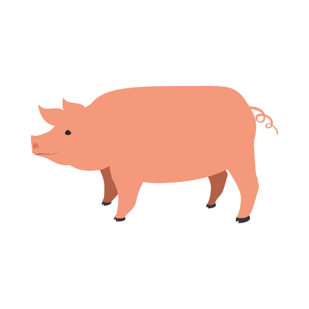 Cerdo animal granja mascota carácter icono. Gráfico vectorial
 - Vector, Imagen