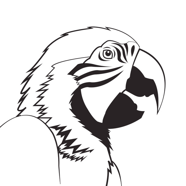 papegaai tekening pictogram - Vector, afbeelding