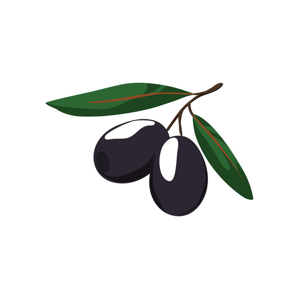 Hoja de olivo alimentos saludables icono del mercado de alimentos ecológicos. Gráfico vectorial
 - Vector, Imagen
