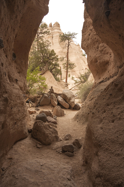 Promenade à travers le monument national de Tent Rocks
 - Photo, image