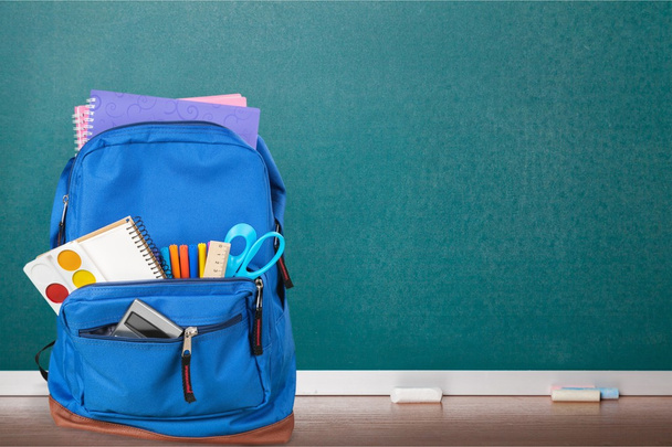School Backpack  on   background. - Фото, зображення