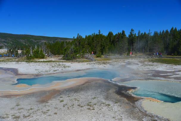 Heißer Geysir-Pool in alter, treuer Gegend des Yellowstone National Par - Foto, Bild