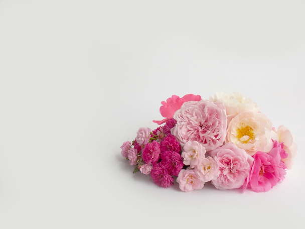 Gyönyörű rózsaszín rózsa angol háttér  - Fotó, kép
