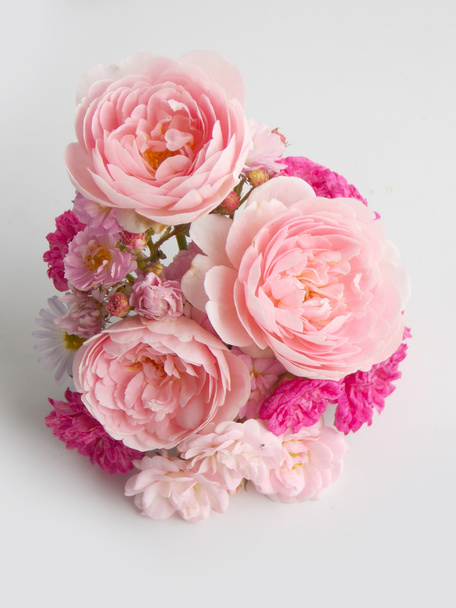 Beautiful pink English rose background  - Foto, Imagen