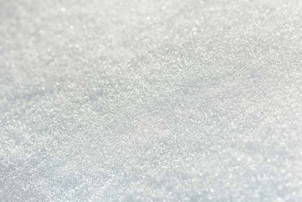 Macro fond de neige
 - Photo, image