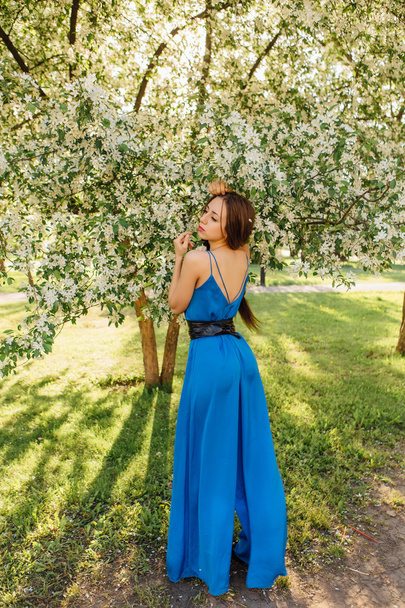 Beautiful young woman standing near the apple tree. - Foto, afbeelding