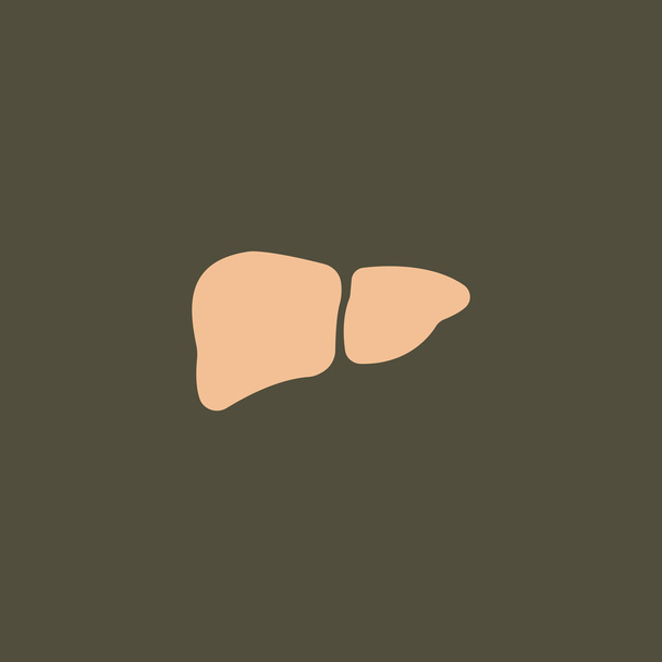 human liver organ icon - Vector, Image
