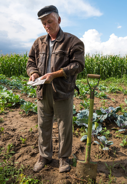 Ανώτερος γεωργός στέκεται με χρήματα - Φωτογραφία, εικόνα