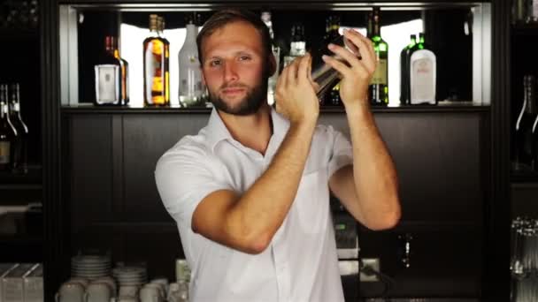 Barman schudden van een drankje in een cocktail shaker - Video