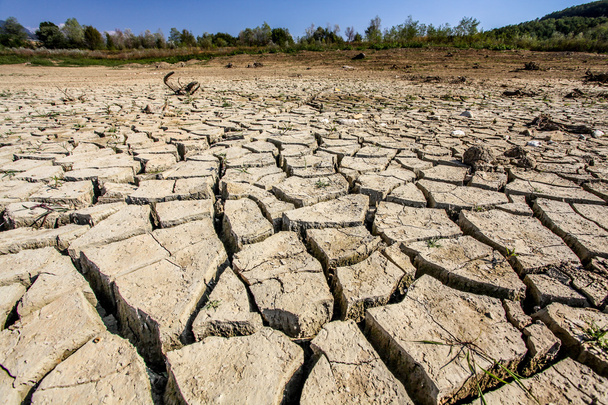 Droughted Vogrscek jezero - Fotografie, Obrázek