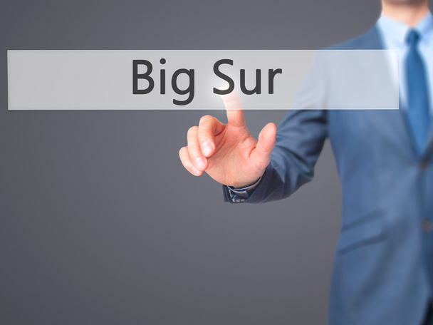 Big Sur - бізнесмен натискаючи віртуальну кнопку - Фото, зображення