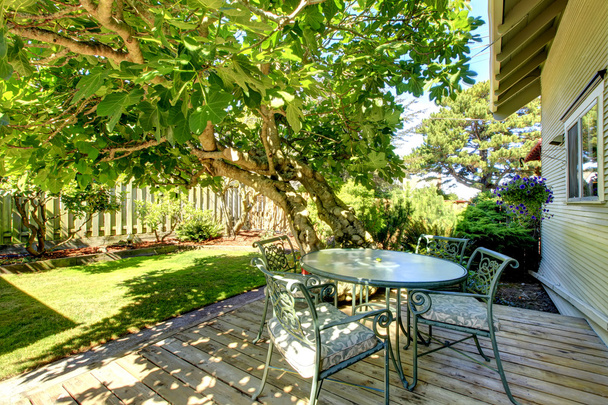 Convés de saída de quintal com conjunto de mesa e árvore grande
 - Foto, Imagem