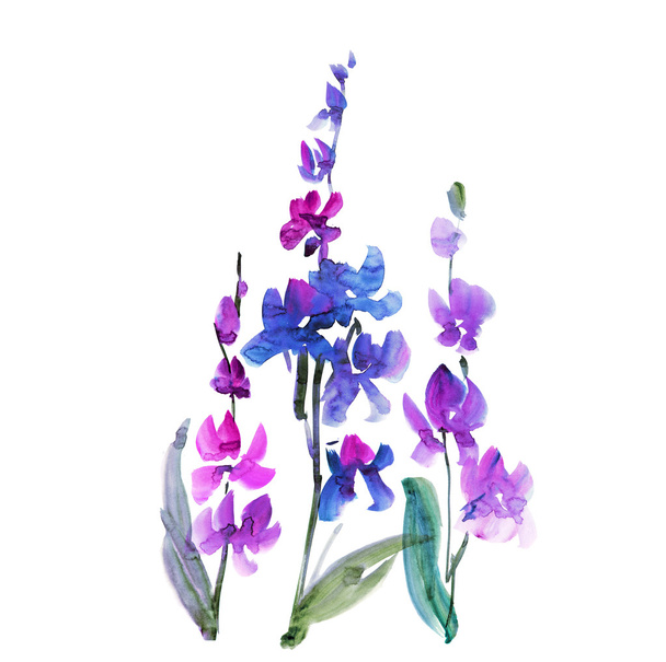 hand drawn orchid flower. sketch floral watercolor illustration. - Zdjęcie, obraz