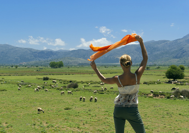 Mulher atraente olhando para o rebanho de ovelhas no prado verde
 - Foto, Imagem