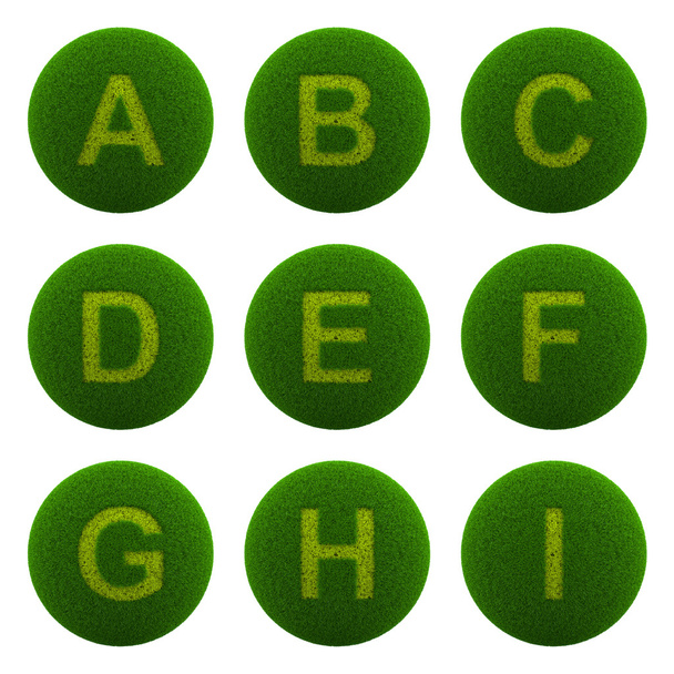 Grass Sphere Alphabetic Letter Series Icon - Foto, Imagem