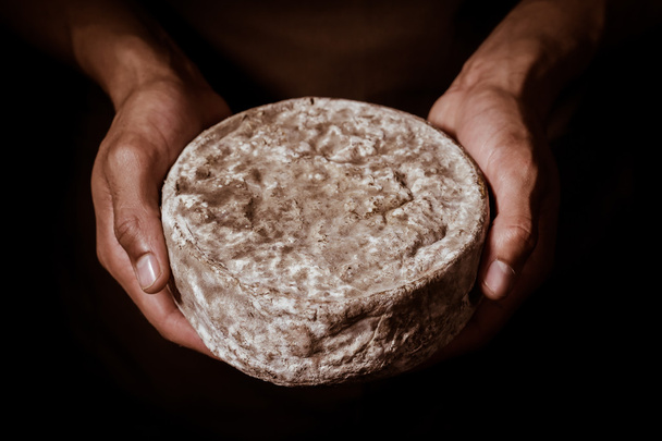 French tomme cheese in the hands of a cheesemaker - Foto, afbeelding