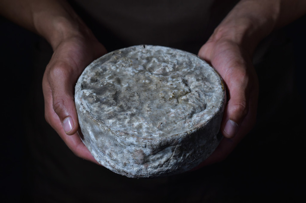 Γαλλικό τυρί tomme στα χέρια του ένα Τυροκόμος - Φωτογραφία, εικόνα