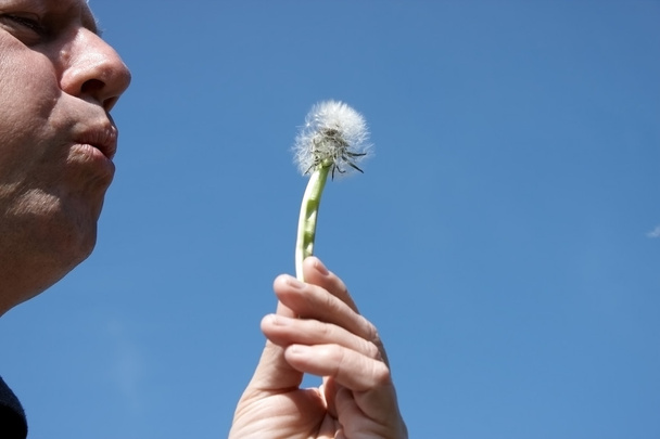 A man blowing dandelion seeds - Photo, Image