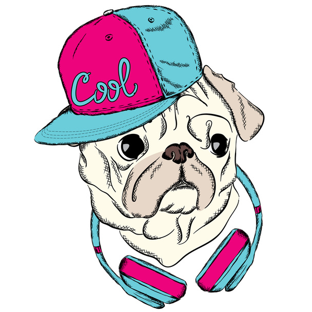 Cool Pug with a cap and headphones. Dog vector. Print on clothes or a postcard. Hipster. - Wektor, obraz
