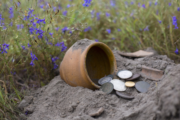Pot of gold coins collected with help of metal detector, green grass background. - 写真・画像