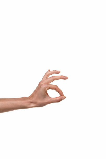 Hand holding isolated on white - Photo, Image