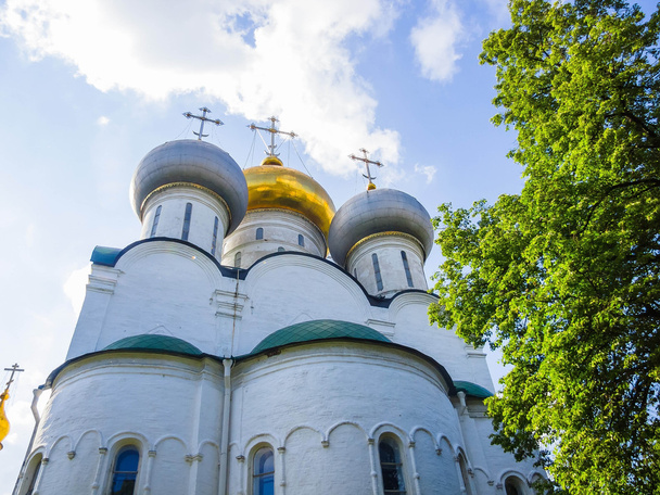 Scenic view of the Novodevichy Convent  - Foto, imagen