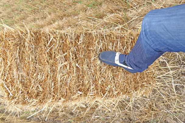 Men right foot pressed on straw bales. - Photo, Image