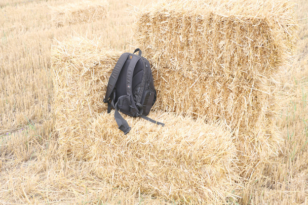 сжатые соломенные тюки, верхний рюкзак
 - Фото, изображение