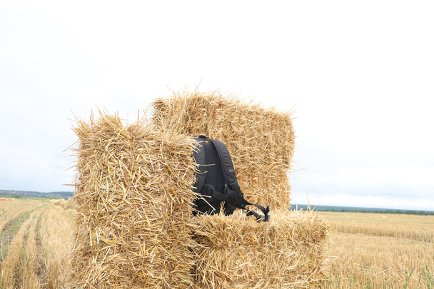 compressed straw bales,top backpack - Photo, Image