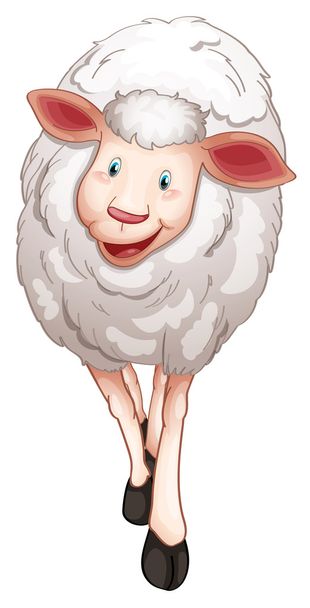овцы - Вектор,изображение