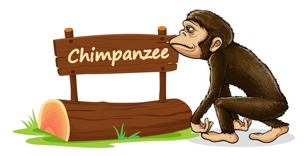 chimpanzee and name plate - Vector, Image