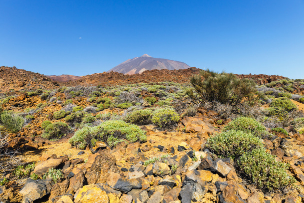 Widok na wulkan El Teide na Teneryfie, Wyspy Kanaryjskie, Hiszpania  - Zdjęcie, obraz