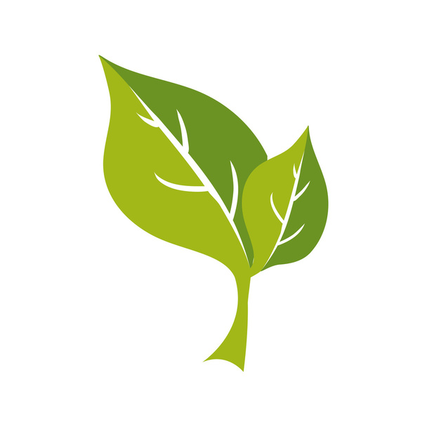 leaf plant green nature ecology icon. Vector graphic - Vektor, Bild