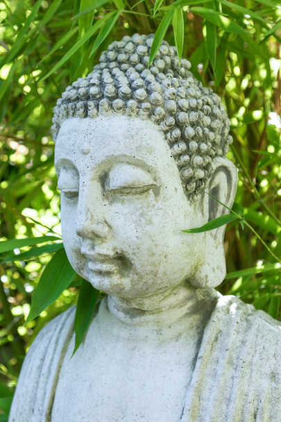 Buddha bambu meditaatio tasapaino spa käsite
 - Valokuva, kuva