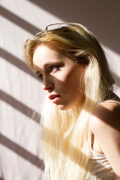 A sensual blonde lighted by the sun - Photo, Image