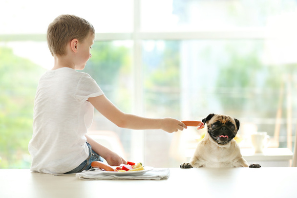 Boy feeding pug  - Фото, изображение