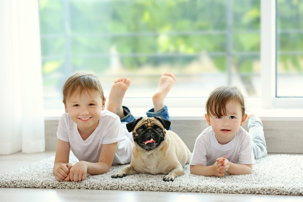 Cute girl and boy with pug on floor in room - Photo, image