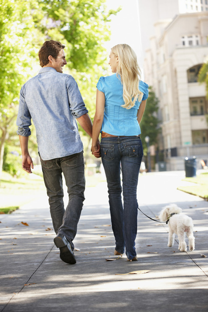 Couple walking with dog in city street - Zdjęcie, obraz