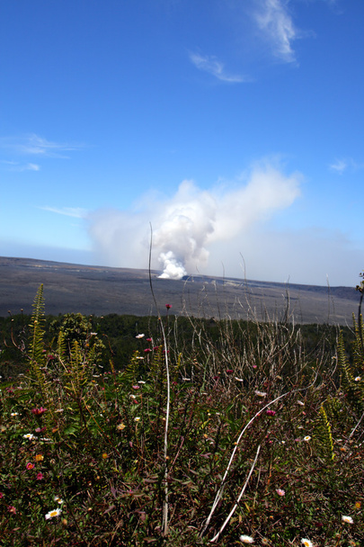 Hawaii Vulkánok Nemzeti Park, Amerikai Egyesült Államok - Fotó, kép