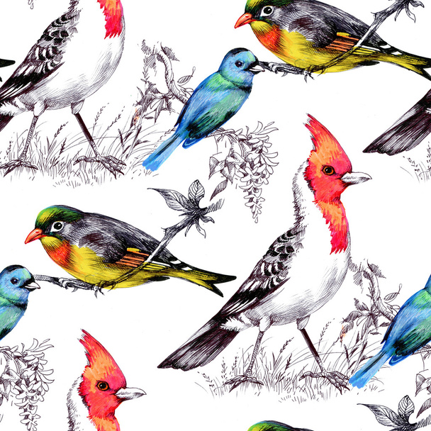 Seamless Pattern with Bright Birds - Foto, afbeelding