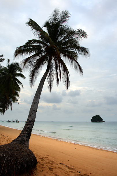 Ilha Tioman, Malásia
 - Foto, Imagem