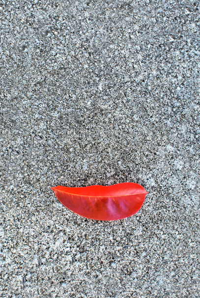 Red lips - red leaf  - Photo, Image
