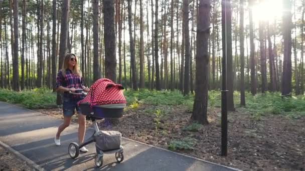 Moeder met baby in kinderwagen, wandelen in het park - Video