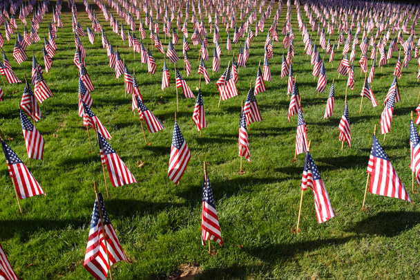Gebied van Amerikaanse vlaggen - Foto, afbeelding