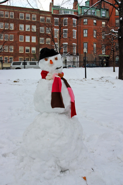 stock imagen de un invierno nevando en Boston, Massachusetts, EE.UU. - Foto, imagen