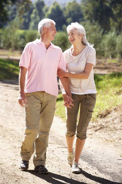 Senior couple on country walk - Photo, image